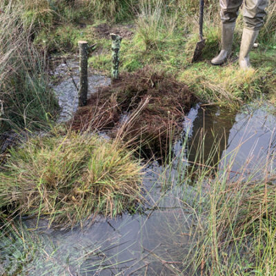 Damming with heather bales