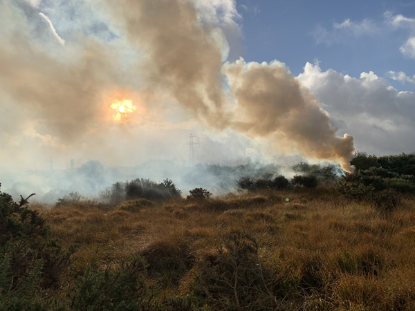 Burning gorse on tins